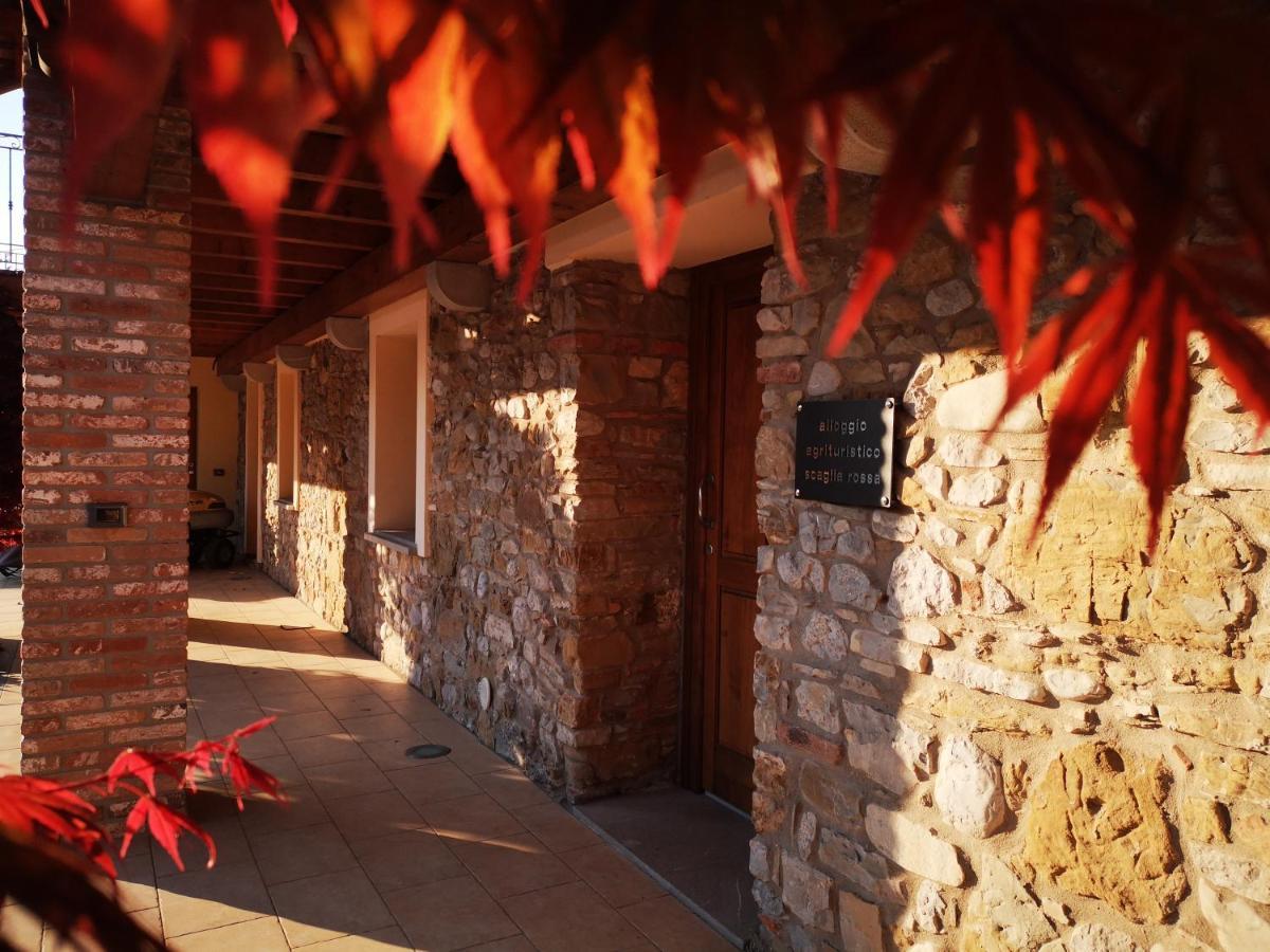 Pizzulin - Wine & Living Villa Prepotto  Ngoại thất bức ảnh