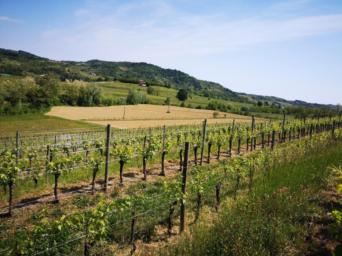Pizzulin - Wine & Living Villa Prepotto  Ngoại thất bức ảnh